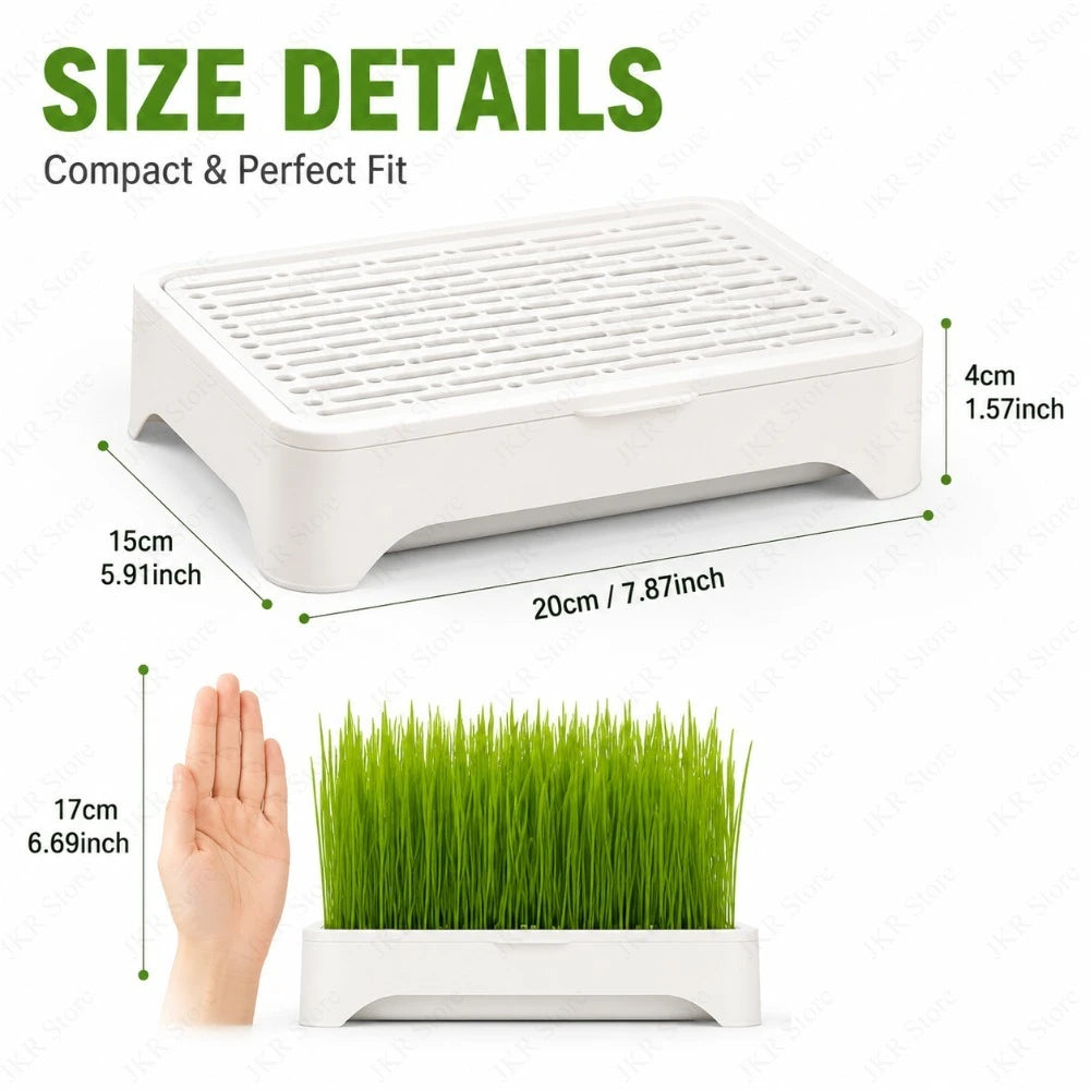 White cat grass hydroponic box showing size proportions and grass tray