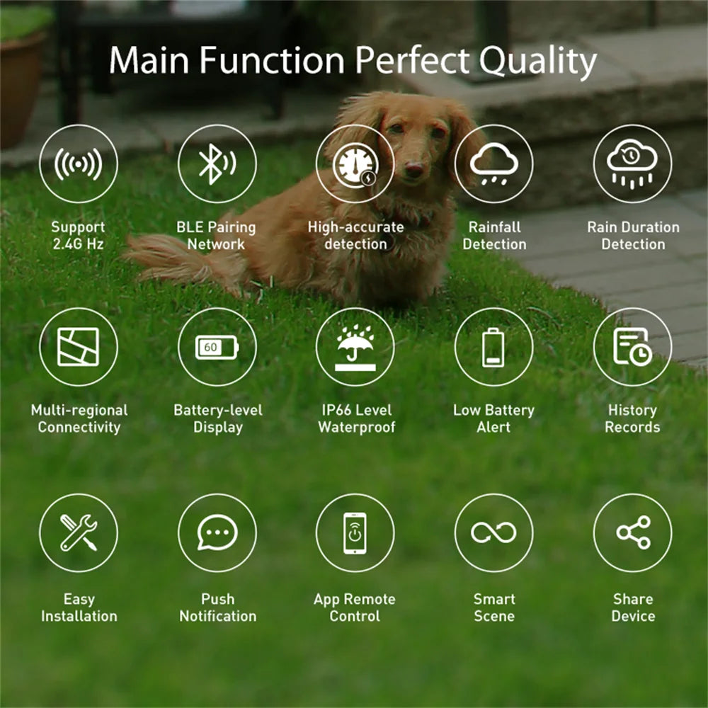 Tuya WiFi Rain Sensor Rainfall Duration Detection Outdoor Waterproof Battery Powered For Smart Life App Control Home Automation