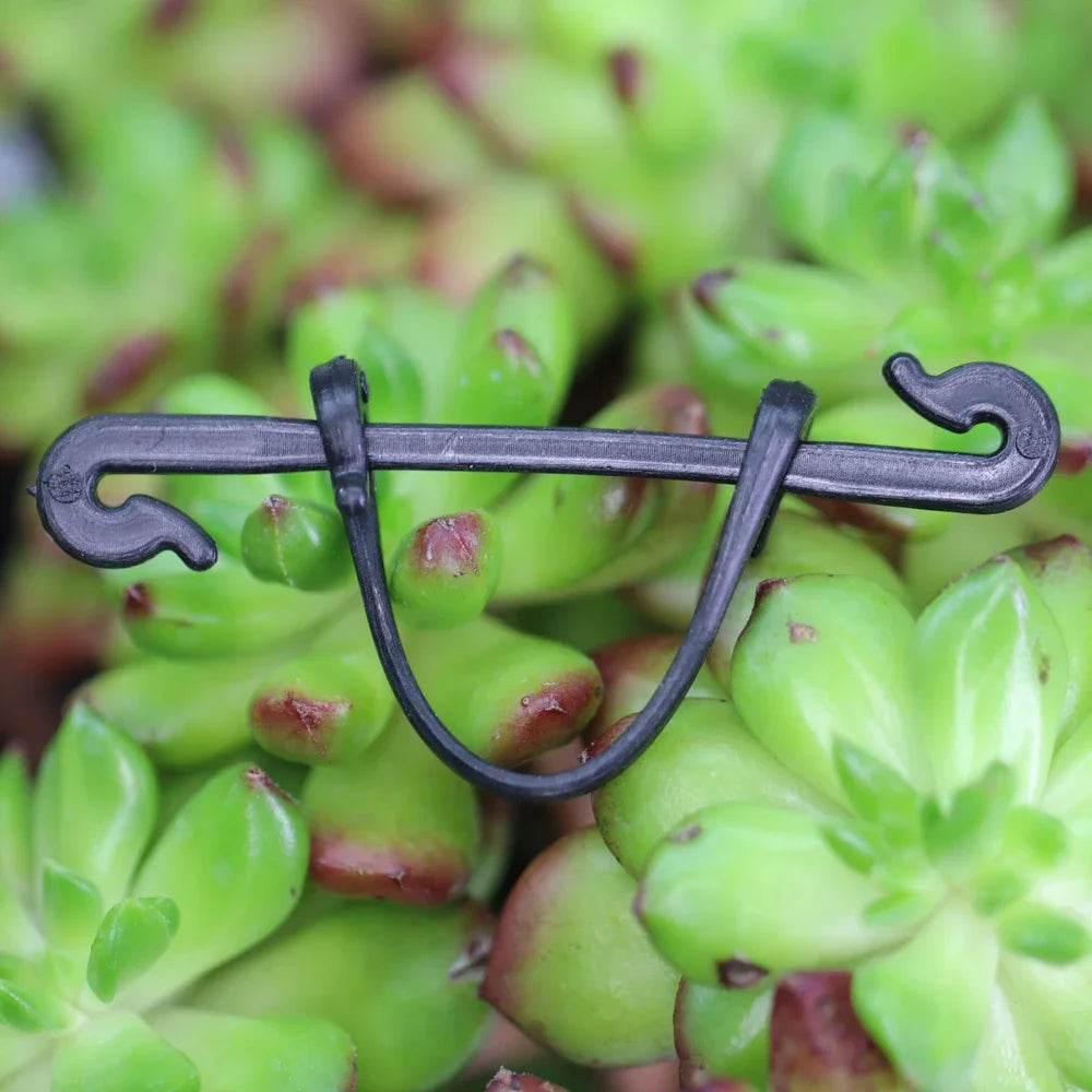 Multi-purpose Plant Cages & Supports for Garden Plants Vines - 200-800 Pcs Garden Clips Tied Buckles Lashing Hook Kiwi Grape