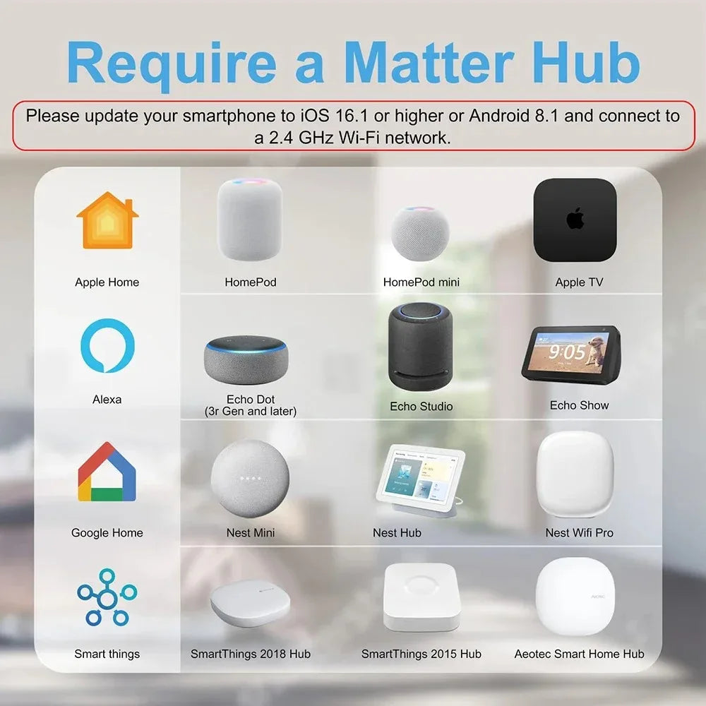 Matter WiFi Smart Socket EU16A Mini Smart Plug Adapter APP Control Works with HomeKit Alexa Google