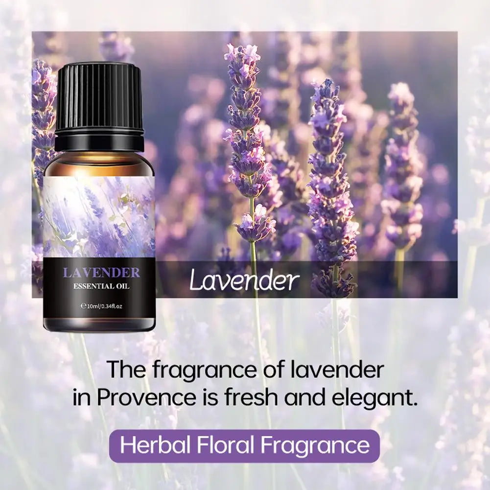 Aromatherapy Essential Oil 10ml Lemon Eucalyptus Lavender Eucalyptus Jasmine Rose Mint Orange Aroma Essential Oil