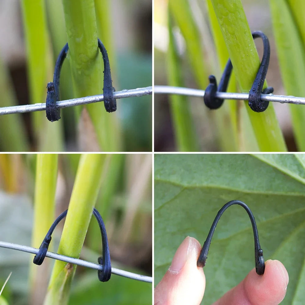 Multi-purpose Plant Cages & Supports for Garden Plants Vines - 200-800 Pcs Garden Clips Tied Buckles Lashing Hook Kiwi Grape