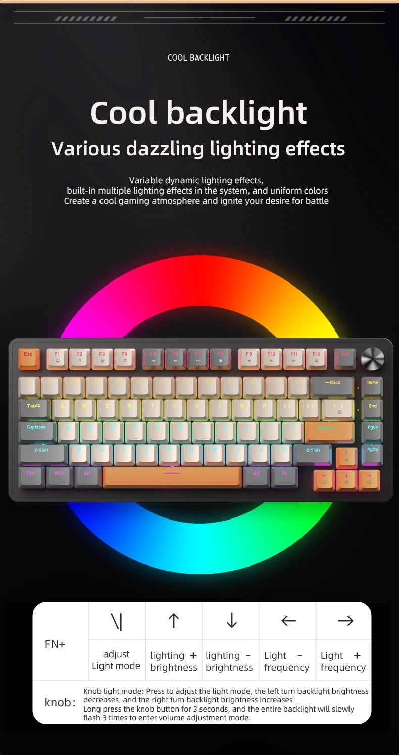 75% Mechanical Keyboard Wired with Media Knob, APAYADO Black Gaming Keyboard,Hot-Swap,ABS Cap Transparent Character Backlighting