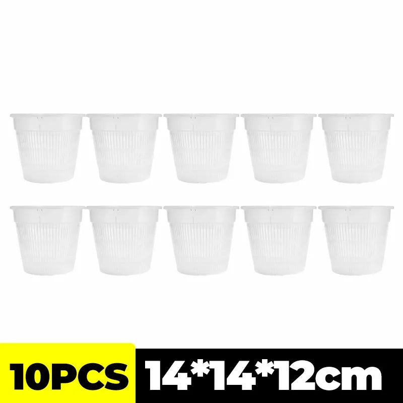 Set of 10 clear plastic orchid pots with ribbed sides and round rims, compact nursery planters