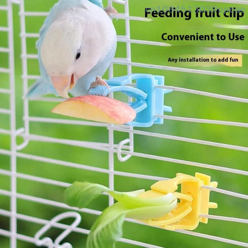 Parrot feeding fruit clip bracket with blue clamp, mounted to white cage bars