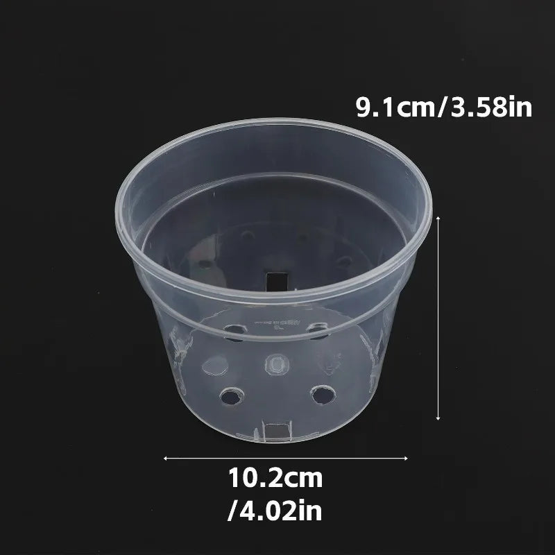 Transparent seedling cup planter with drainage holes, small 9.1cm x 10.2cm