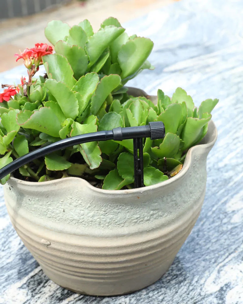 Garden Black Adjustable valve Drip Irrigation Kit Potted Plant Watering Device 4/7mmHose Watering Saving MicroDripper Greenhouse
