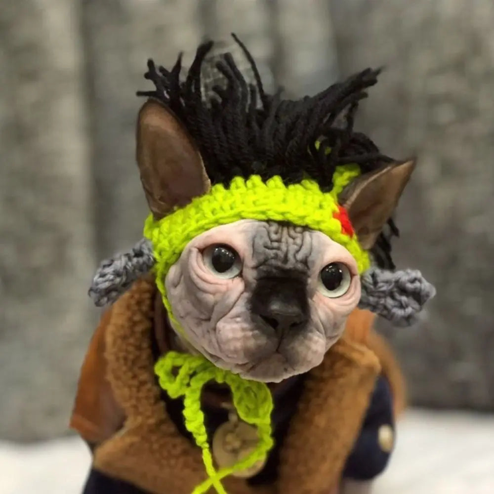 Sphynx cat wearing an adjustable neon green knitted wig hat, perfect for funny pet cosplay and costume photos.