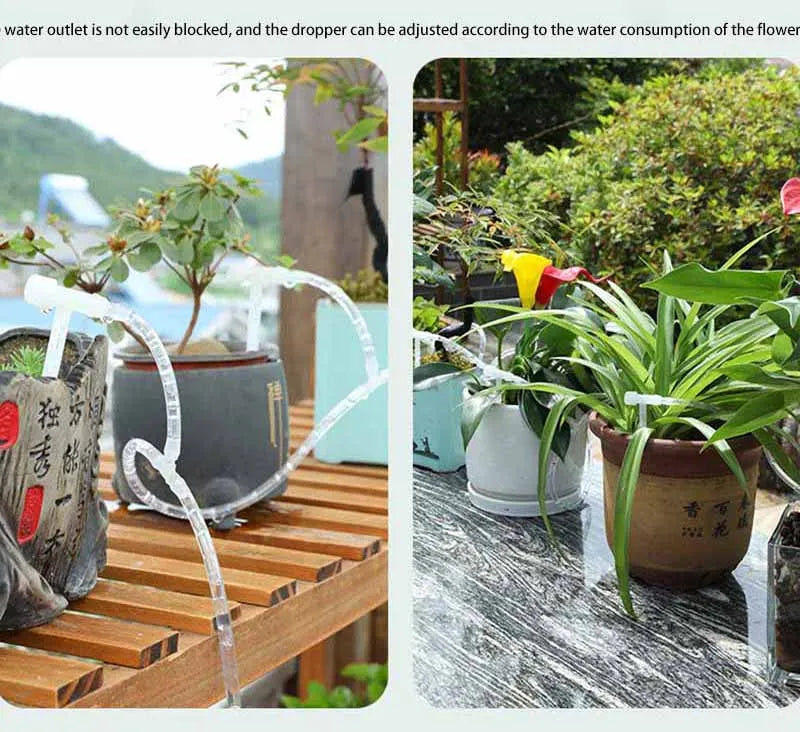 Automatic drip watering system with clear tubing delivering water to potted plants