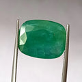 Green oval emerald gemstone, faceted, front view held in metal tweezers.