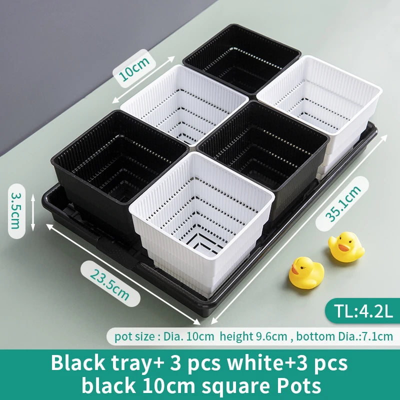Black drainage tray with three white and three black 10 cm square plant pots