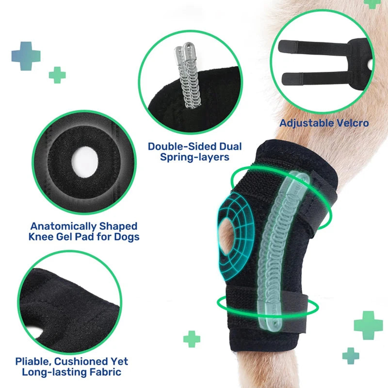 Black dog knee brace for injury recovery with spring stabilizers, gel pad, and adjustable velcro for joint support.
