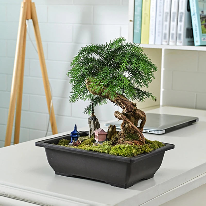 Garden Landscape Bonsai Tray Square Rectangular Flowerpot Succulent Plant Flowerpot Bonsai Pot Small Potted Gardening Supplies