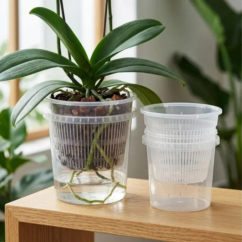 Clear self-watering orchid pot with detachable inner mesh insert and outer reservoir