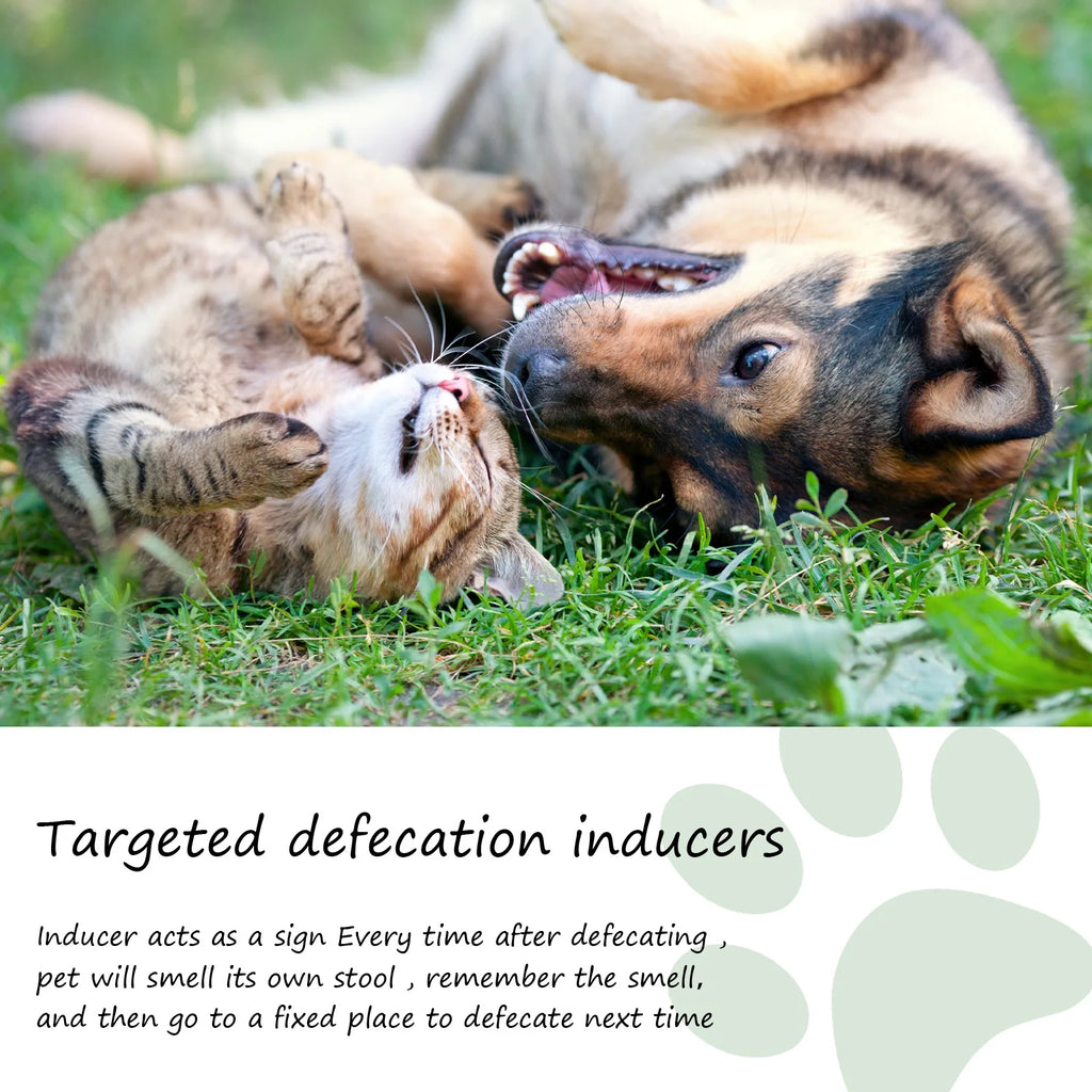 Puppy and kitten toilet training spray to induce fixed-spot pet defecation with an attractive scent.
