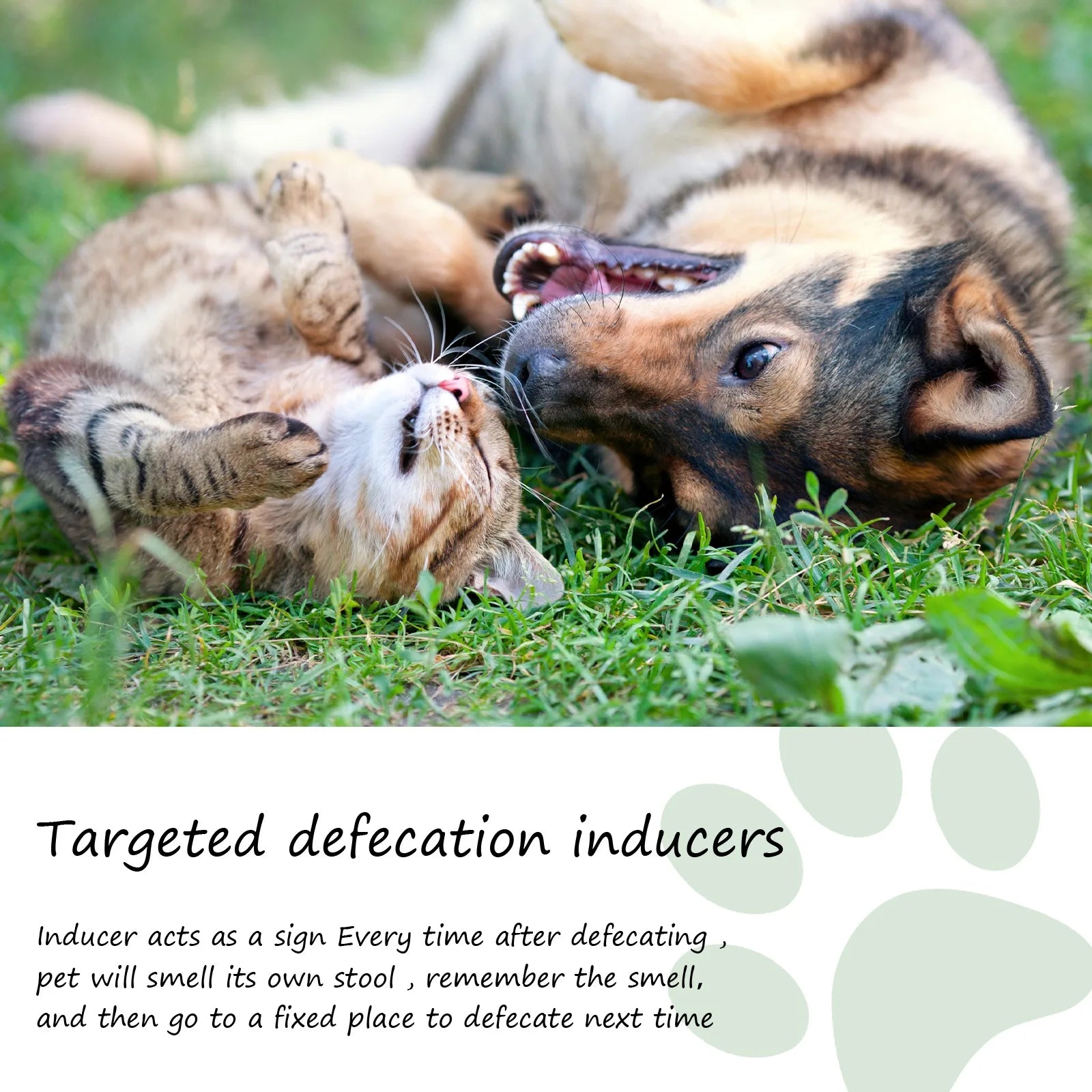 Puppy and kitten toilet training spray to induce fixed-spot pet defecation with an attractive scent.