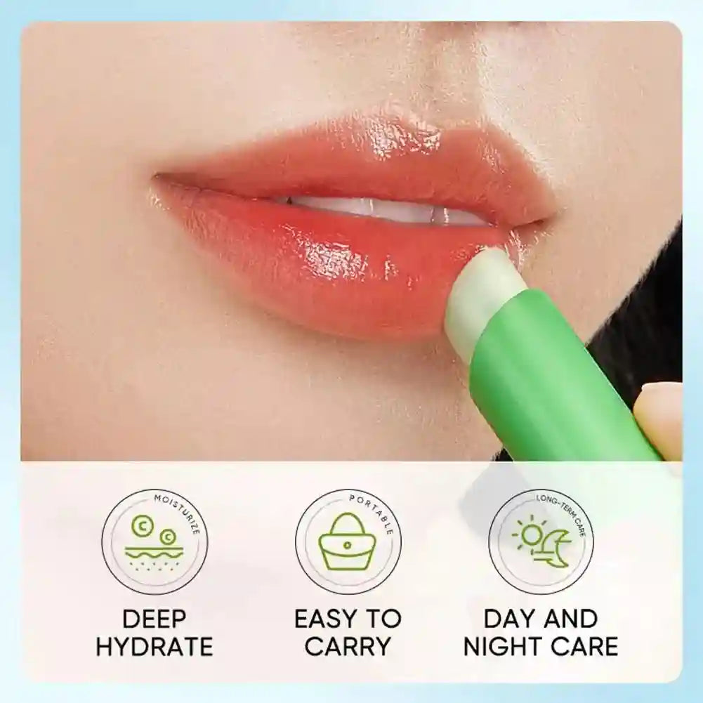 Aloe Vera Lip Balm 5-Pack: Nourishing Moisturizing Lip Treatment Lip Care Tidesmit