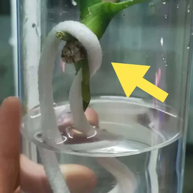 Self Watering Wick Cord Cotton String Rope DIY Automatic Watering Absorbent Wicks Rope Potted Plant Auto Drip Irrigation Waterer