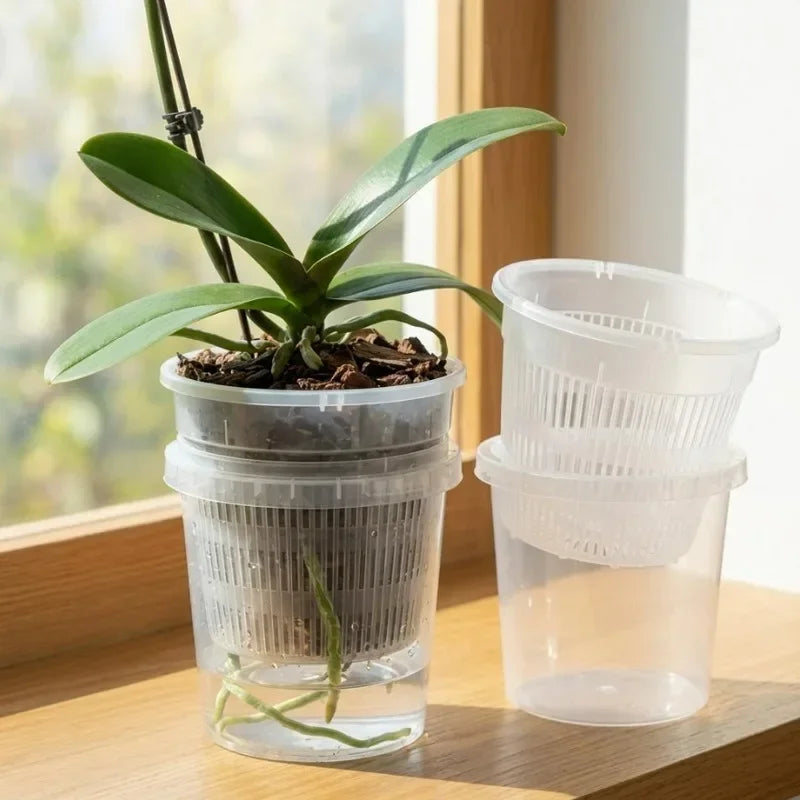 Two clear self-watering orchid pots, one with inner mesh basket, on window ledge