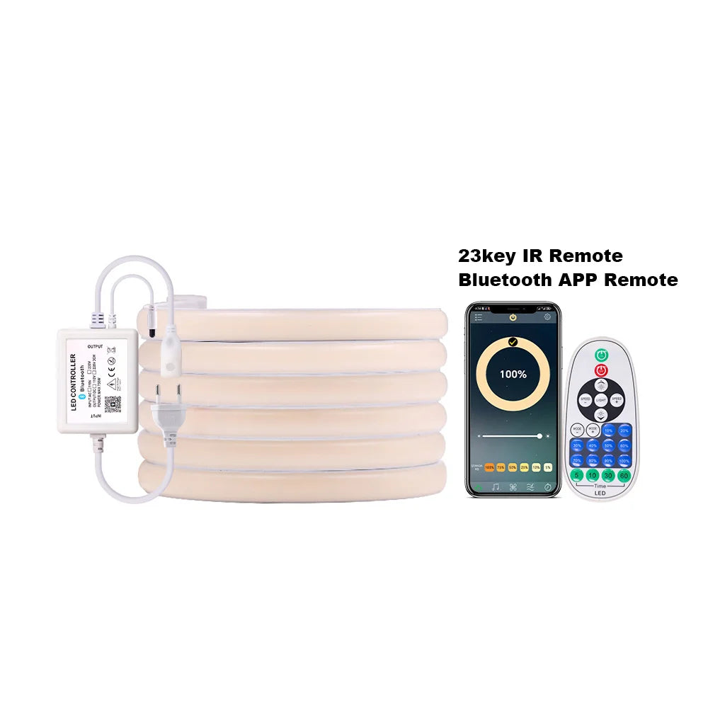 LED neon strip light kit with Bluetooth app remote and 23key IR remote