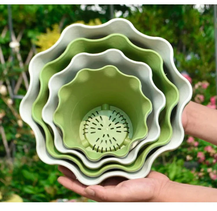 Flower Pot Lotus Leaf Edge Household Thickened Plastic Indoor Balcony Lily Wind and Wave Edge Pot 2pcs (Flower Pots Bases)