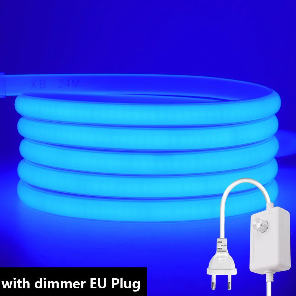 Flexible blue LED neon strip loop with dimmer EU plug connected