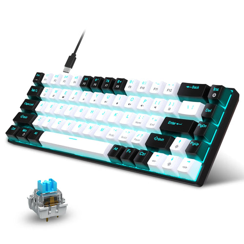 68-key mechanical keyboard with black and white keycaps, blue switches, and RGB backlighting.
