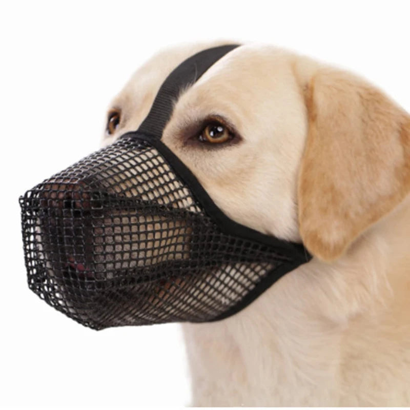 Adjustable black breathable mesh dog muzzle for anti-bite, lick control, and safe drinking.