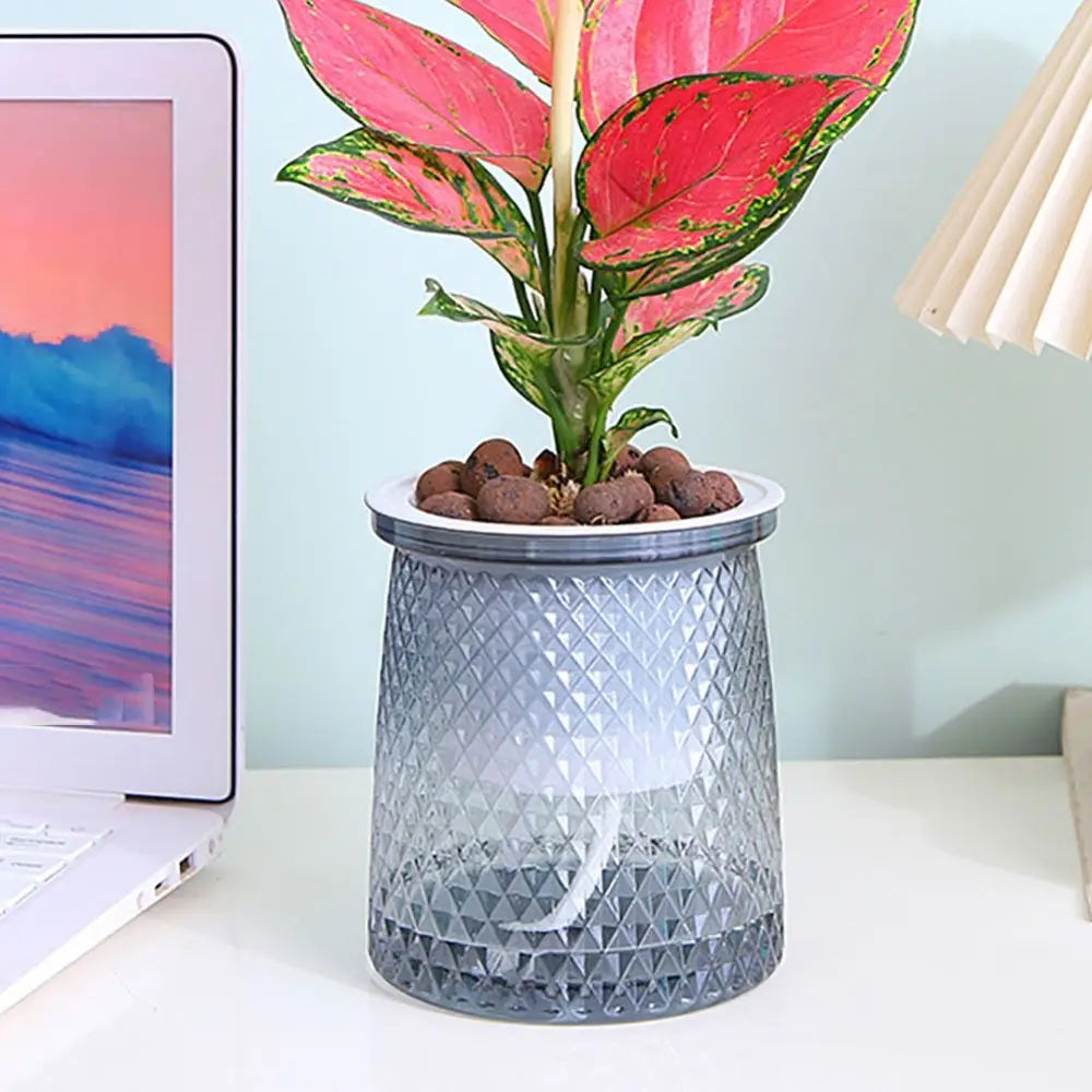 Self-watering plastic planter with textured gray pattern and transparent water-level top