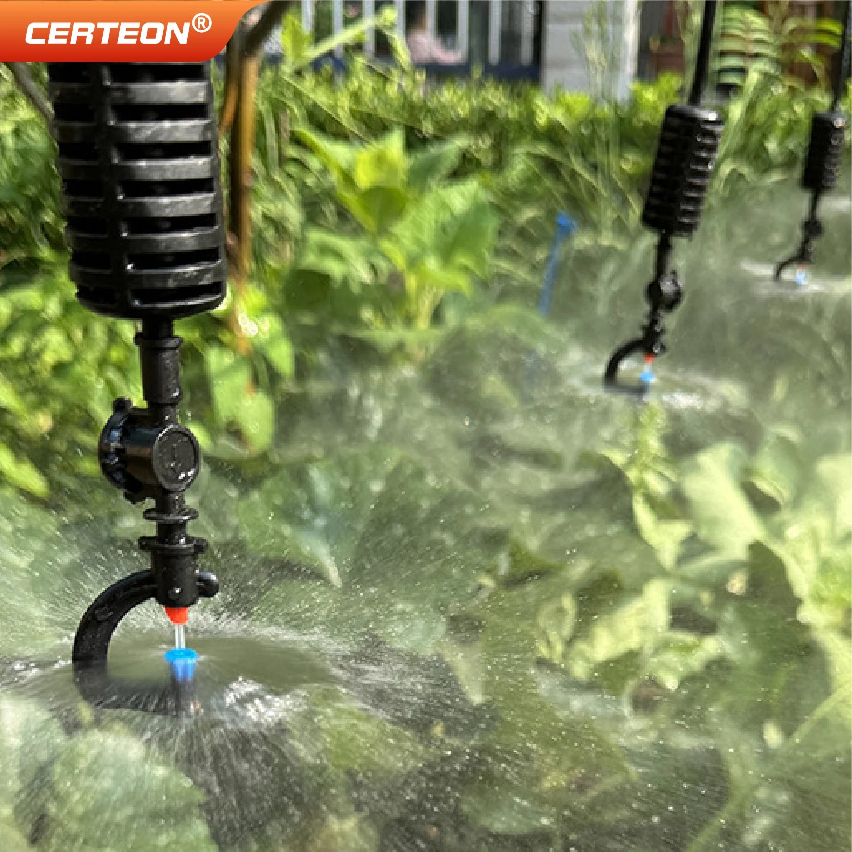 Micro sprinkler nozzles with hoses spraying mist across garden plants