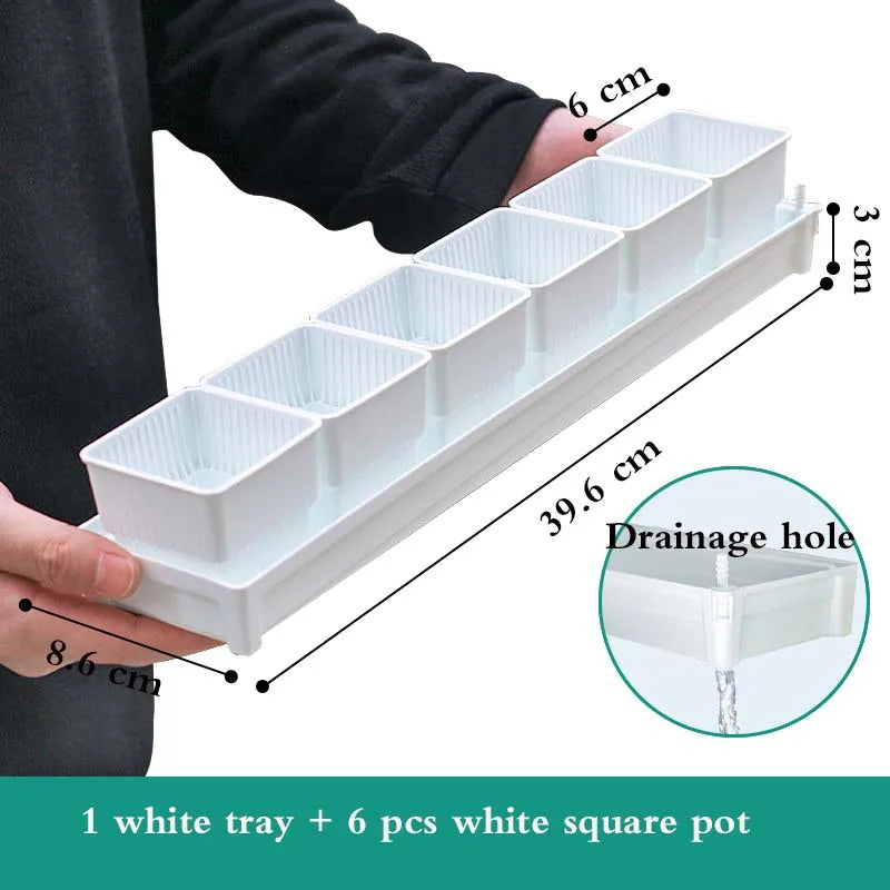 White square drainage tray with six white 6 cm square plant pots