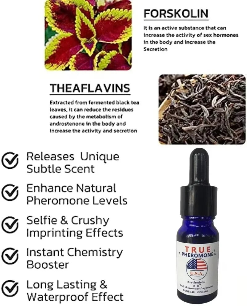 True Pheromone men’s fragrance oil in blue dropper bottle. Long-lasting scent with forskolin and theaflavins for men.