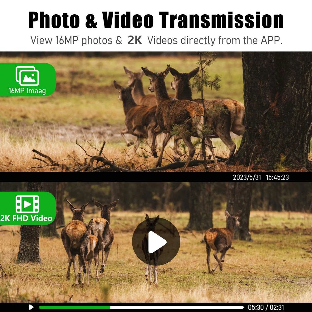 EU 4G Cellular 2K Battery Solar PIR Motion Activated Wildlife Hunting Trail Camera IP65 Outdoor Night Vision No Red Exposure