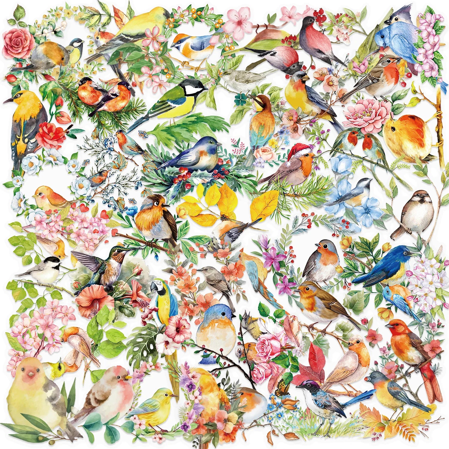 50-piece transparent PET sticker set featuring aesthetic watercolor birds and flowers for scrapbooking and DIY crafts.