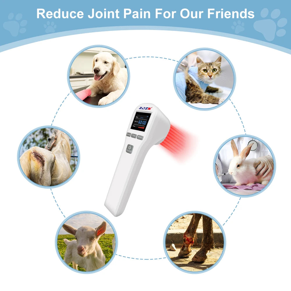Cold Laser Therapy Device for Pain Relief | 808nm & 650nm Laser Body Shaping Massage Equipment Tidesmit
