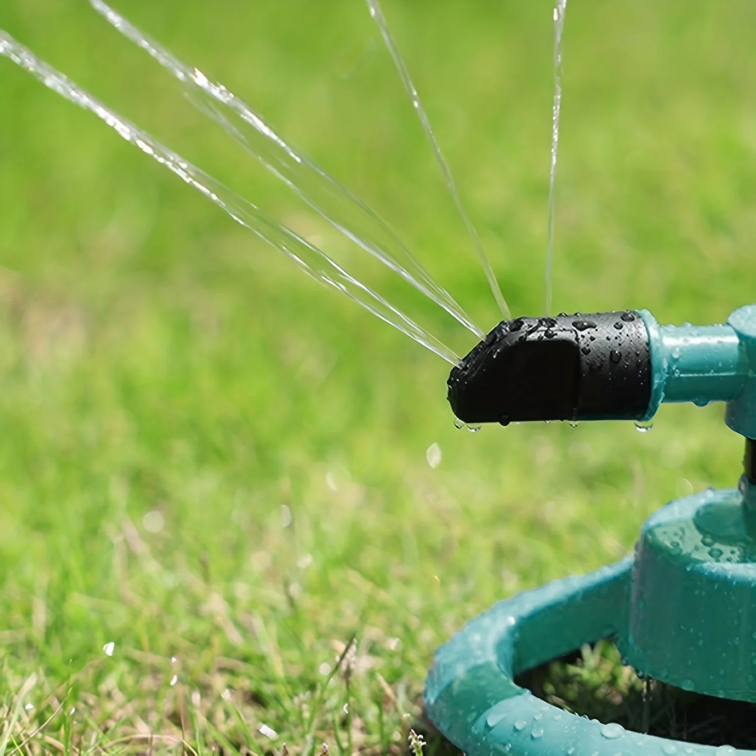 Close-up of teal sprinkler nozzle producing multiple water streams over grass.
