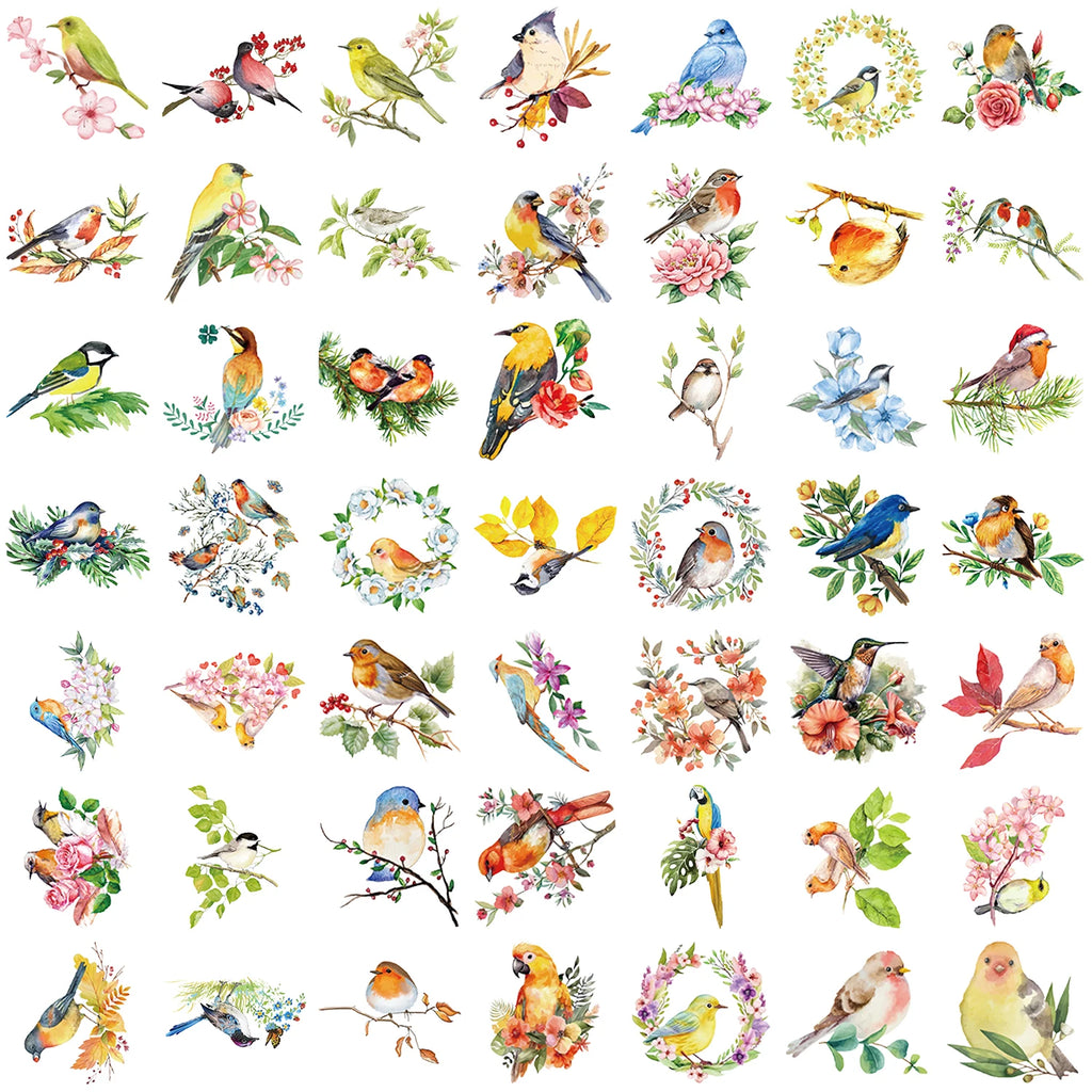 50pcs watercolor bird PET transparent stickers for DIY scrapbooking, journaling, and aesthetic craft decorations.