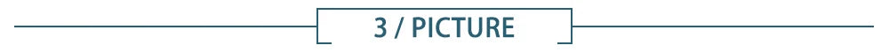 Picture section header graphic