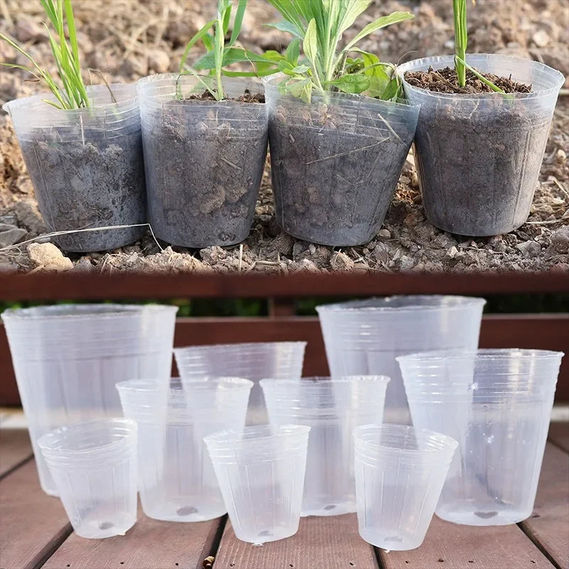 10/50Pcs Transparent Flowerpot Plant Nursery Pot Seedling Cup Gardening Transplantation Potted Flower Pot Planter Gardening Tool