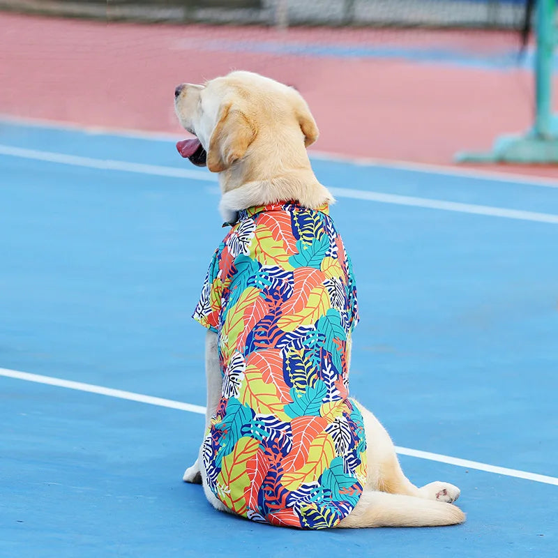Labrador in a breathable, colorful floral Hawaii-style summer T-shirt for dogs, perfect for comfortable outdoor wear.