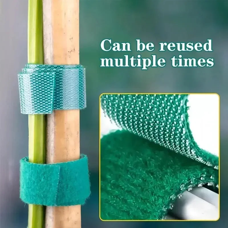 Green hook-and-loop plant tie fastened around a stem, reusable wrap style.
