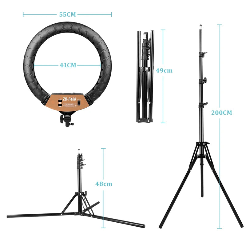 ZB-F488 55cm ring light with foldable metal tripod stand, showing dimensions for studio photography and video lighting.