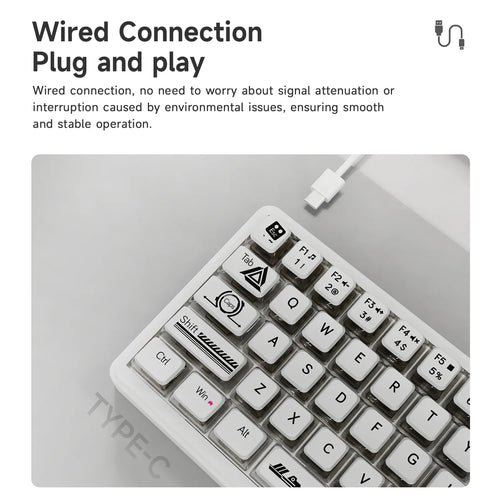 AJAZZ AK690 white 65% mechanical keyboard with custom keycaps and USB-C wired connection.