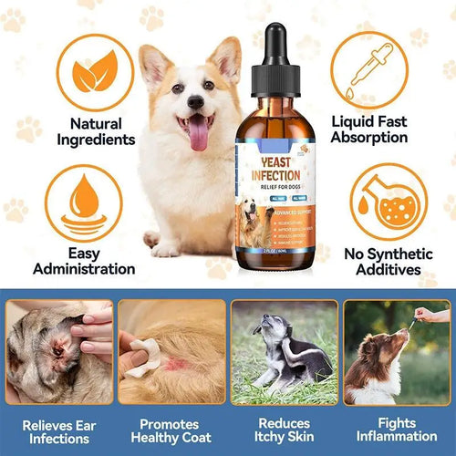 Dog yeast supplement drops bottle with label shown alongside benefit icons