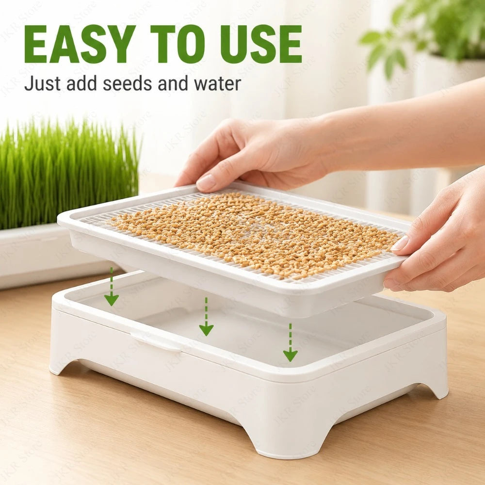 White hydroponic cat grass tray with seed layer being filled by hands