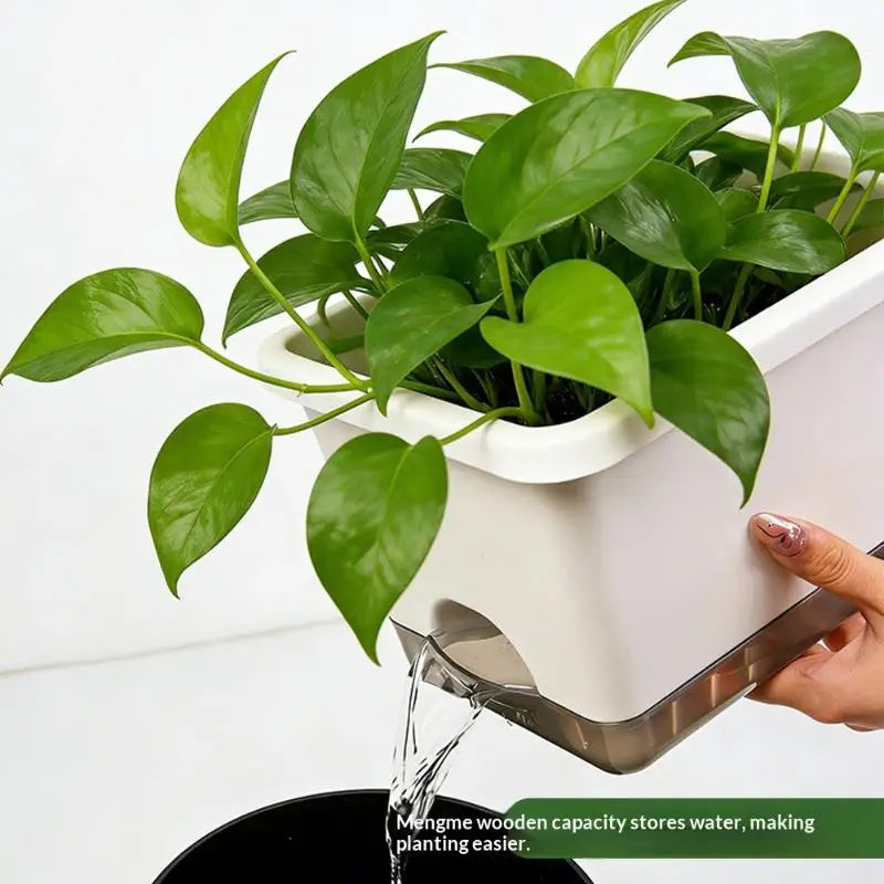 White rectangular self-watering window planter with green leaves and a raised bottom tray