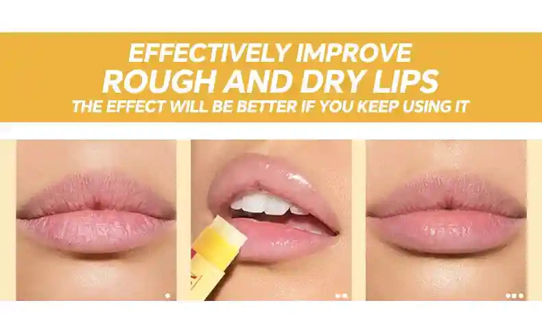 Natural Lip Balm Set: Moisturizing Plant-Based Lip Treatment - 3 Pack Lip Care Tidesmit
