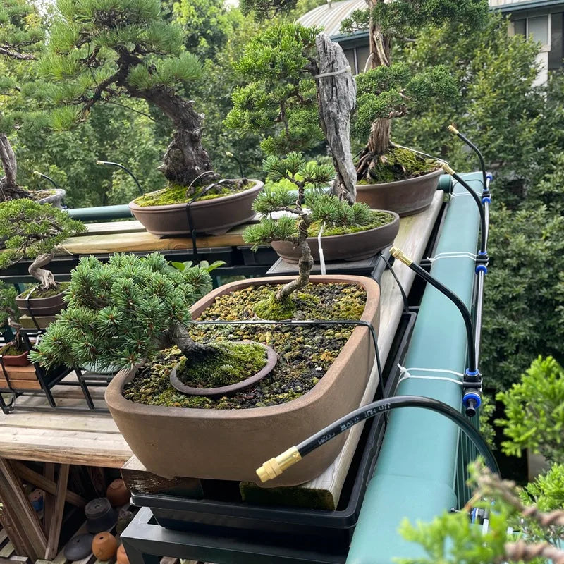 Outdoor sprinkler system watering many plant pots with hose line