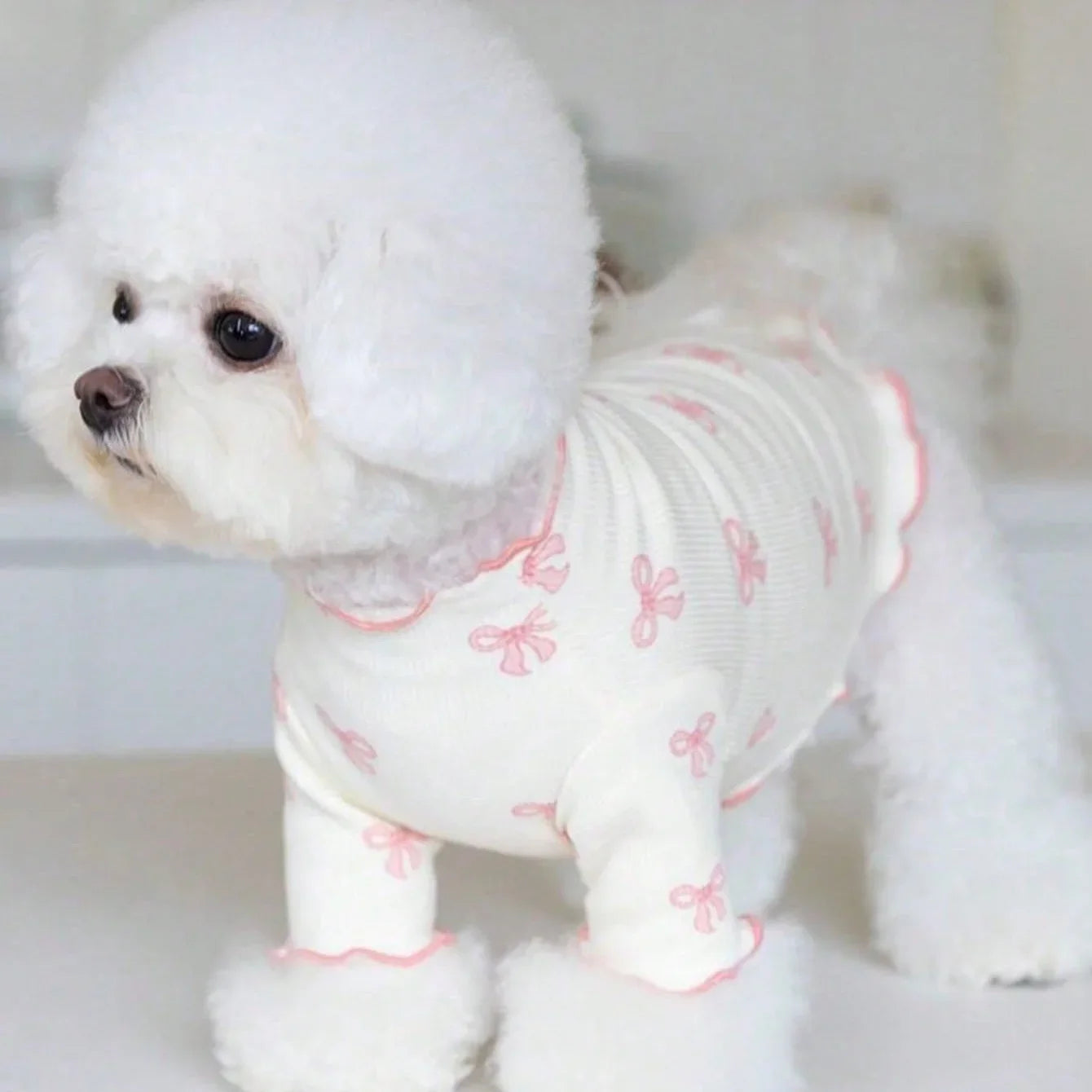 White dog wearing a stretchy, breathable knit pet sweater with a pink bow tie print for comfortable daily wear.