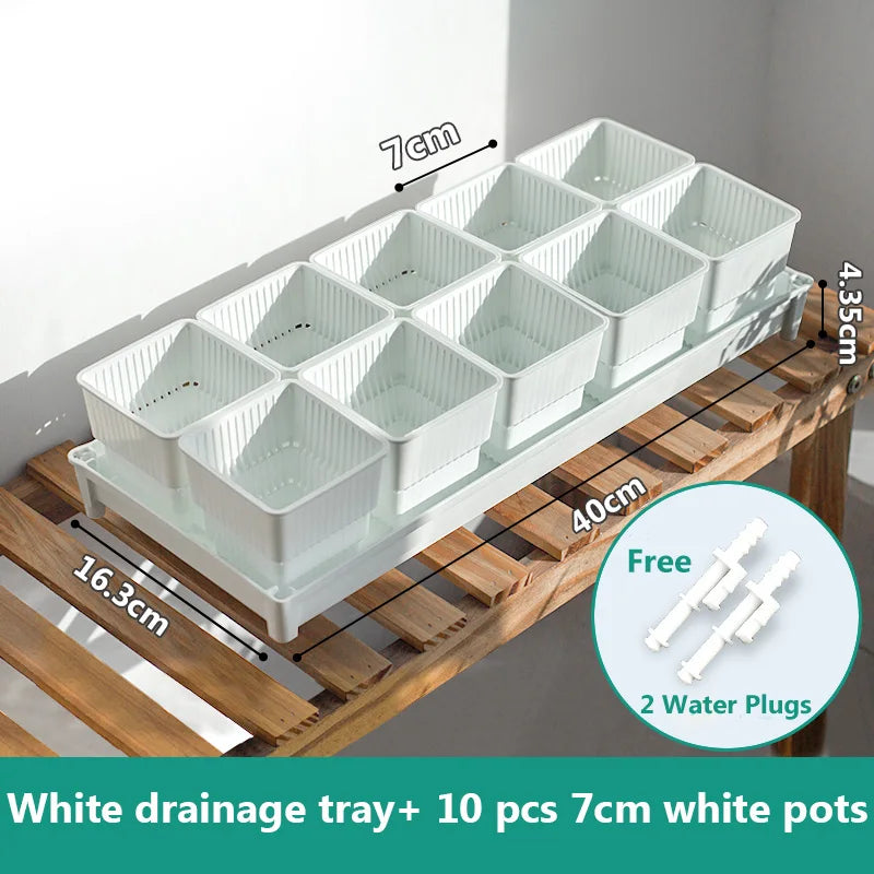White drainage tray with ten ribbed square succulent pots, 7 cm, plus visible water plug